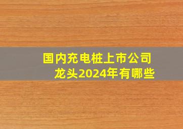 国内充电桩上市公司龙头2024年有哪些