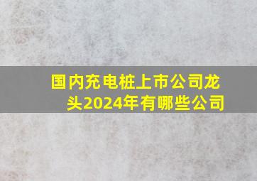 国内充电桩上市公司龙头2024年有哪些公司