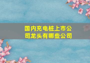 国内充电桩上市公司龙头有哪些公司