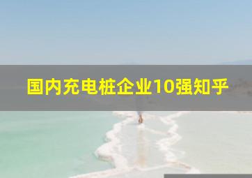 国内充电桩企业10强知乎