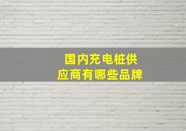 国内充电桩供应商有哪些品牌