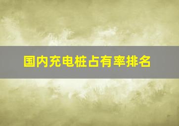 国内充电桩占有率排名