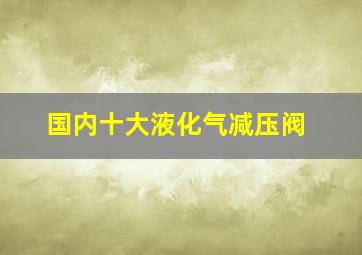 国内十大液化气减压阀