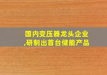 国内变压器龙头企业,研制出首台储能产品