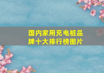 国内家用充电桩品牌十大排行榜图片