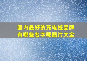 国内最好的充电桩品牌有哪些名字呢图片大全