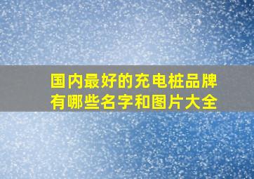 国内最好的充电桩品牌有哪些名字和图片大全