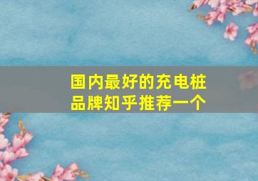 国内最好的充电桩品牌知乎推荐一个