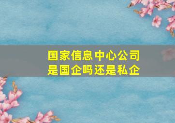 国家信息中心公司是国企吗还是私企