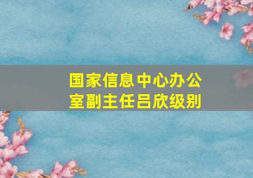 国家信息中心办公室副主任吕欣级别