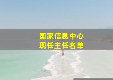 国家信息中心现任主任名单