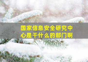 国家信息安全研究中心是干什么的部门啊