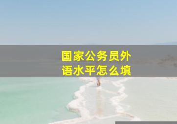 国家公务员外语水平怎么填