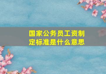 国家公务员工资制定标准是什么意思