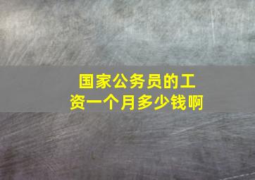 国家公务员的工资一个月多少钱啊