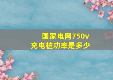 国家电网750v充电桩功率是多少