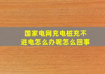 国家电网充电桩充不进电怎么办呢怎么回事