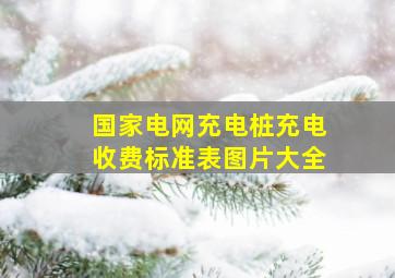 国家电网充电桩充电收费标准表图片大全