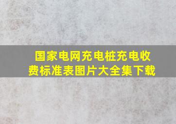 国家电网充电桩充电收费标准表图片大全集下载