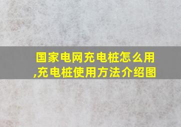 国家电网充电桩怎么用,充电桩使用方法介绍图