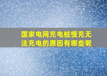 国家电网充电桩慢充无法充电的原因有哪些呢