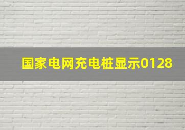 国家电网充电桩显示0128