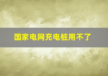 国家电网充电桩用不了