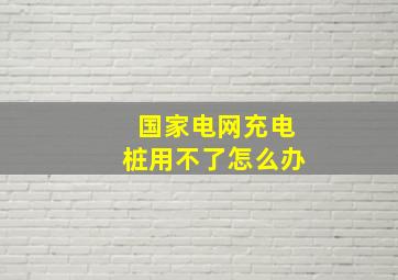 国家电网充电桩用不了怎么办