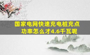 国家电网快速充电桩充点功率怎么才4.6千瓦呢