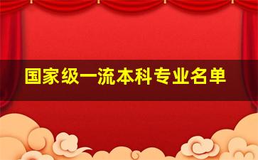 国家级一流本科专业名单