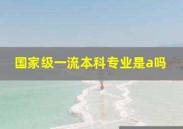 国家级一流本科专业是a吗