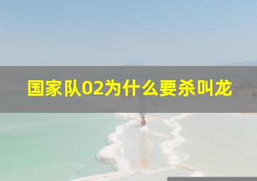 国家队02为什么要杀叫龙