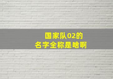 国家队02的名字全称是啥啊