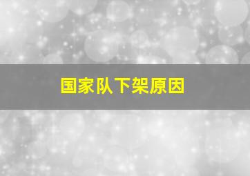 国家队下架原因