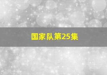 国家队第25集