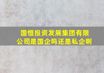 国恒投资发展集团有限公司是国企吗还是私企啊