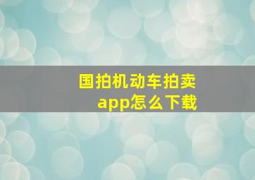 国拍机动车拍卖app怎么下载