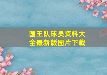 国王队球员资料大全最新版图片下载