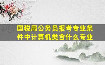 国税局公务员报考专业条件中计算机类含什么专业