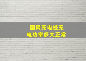 国网充电桩充电功率多大正常