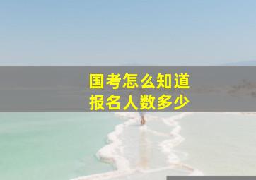 国考怎么知道报名人数多少