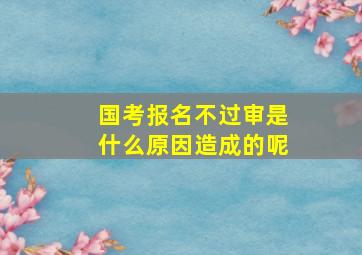 国考报名不过审是什么原因造成的呢