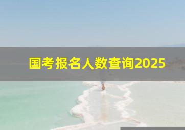 国考报名人数查询2025