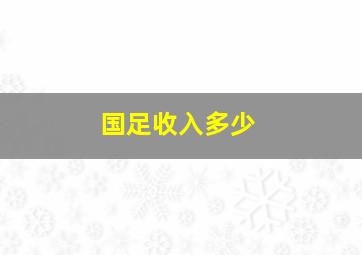 国足收入多少