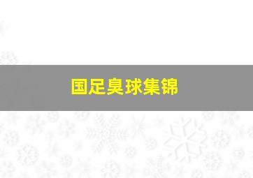 国足臭球集锦