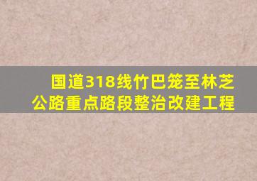 国道318线竹巴笼至林芝公路重点路段整治改建工程