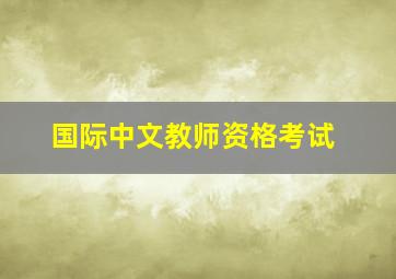 国际中文教师资格考试