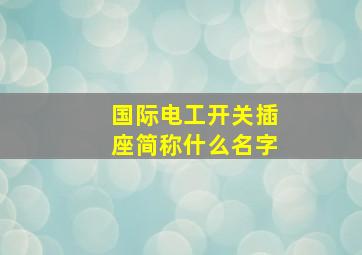 国际电工开关插座简称什么名字