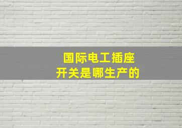 国际电工插座开关是哪生产的