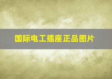 国际电工插座正品图片